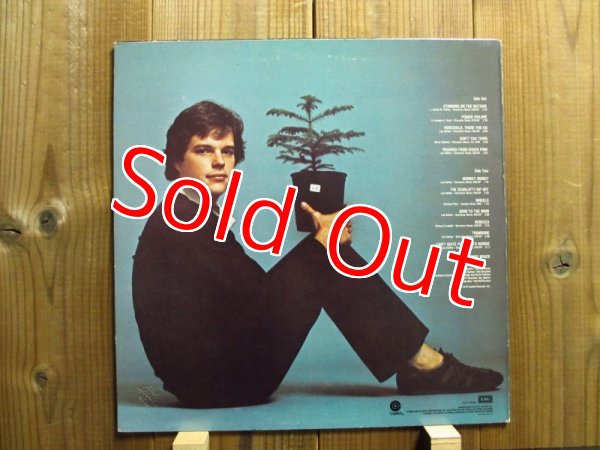 画像2: Leo Kottke / Chewing Pine (2)