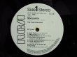 画像3: Tony Rice Unit / Manzanita (3)