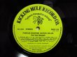 画像3: Ton Van Bergeyk / Famous Ragtime Guitar Solos (3)