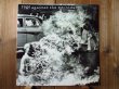 画像1: Rage Against The Machine / Rage Against The Machine (1)
