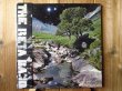画像1: The Beta Band / The Beta Band (1)