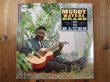 画像1: Muddy Waters / Muddy, Brass & The Blues (1)