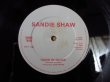 画像3: Sandie Shaw / Hand In Glove (3)