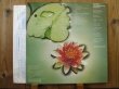 画像2: Mahavishnu Orchestra / Between Nothingness & Eternity (2)