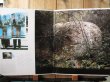 画像2: Miroslav Tadic - David Philipson - John Bergamo / Bracha (2)