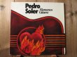 画像1: Pedro Soler / Flamenco Gitarre (1)