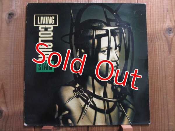 画像1: Living Colour / Stain (1)