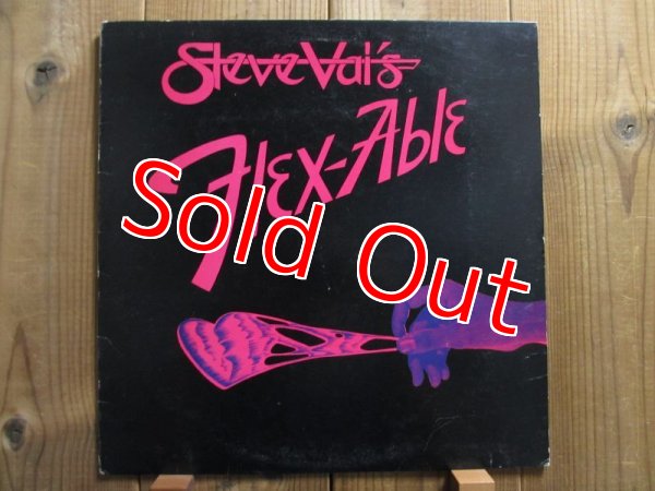 画像1: Steve Vai / Flex-Able (1)