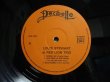 画像3: Louis Stewart / & The Red Lion Trio (3)