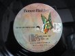 画像4: Ronee Blakley / Ronee Blakley (4)