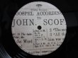 画像4: John Scofield / Piety Street (4)