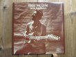 画像1: Hound Dog Taylor / Hound Dog Taylor And The House Rockers (1)