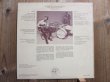 画像2: Hound Dog Taylor And The HouseRockers / Natural Boogie (2)