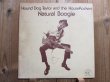 画像1: Hound Dog Taylor And The HouseRockers / Natural Boogie (1)