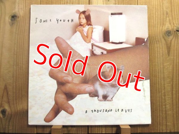 画像1: Sonic Youth / Thousand Leaves (1)