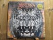 画像1: 再入荷！45年振り初期メンバーが再結集したサンタナの2016年作！■Santana / Santana IV (1)