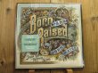 画像1: John Mayer / Born And Raised (1)