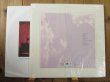 画像2: Daniel Lanois / Belladonna (2)