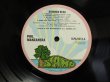 画像3: Phil Manzanera / Diamond Head (3)
