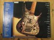 画像2: Joe Satriani / Flying In A Blue Dream (2)