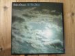 画像1: Peter Green / In The Skies (1)