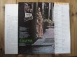 画像2: The Doors / Strange Days (2)