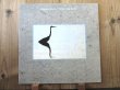 画像1: Stephan Micus / Wings Over Water (1)