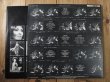 画像2: Cleo Laine and John Williams / Best Friends (2)