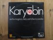 画像1: The Spontaneous Music Ensemble / Karyobin (1)