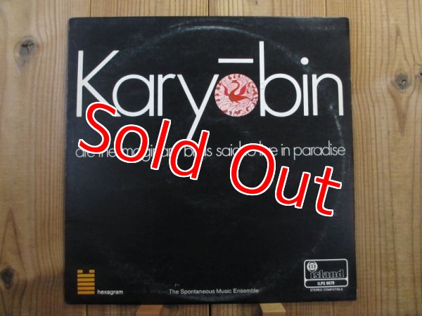 画像1: The Spontaneous Music Ensemble / Karyobin (1)