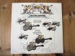 画像1: Al Caiola / Italian Guitars (1)