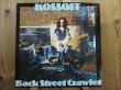画像1: Paul Kossoff / Back Street Crawler (1)