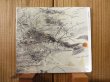 画像1: Raphael Malfliet / Noumenon (1)