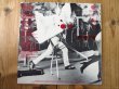 画像2: Amos Garrett / Amosbehavin' (2)
