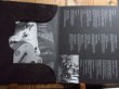 画像3: Buddy Miller & Bill Frisell, Marc Ribot, Greg Leisz / Buddy Miller's Majestic Silver Strings (3)