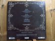 画像2: Buddy Miller & Bill Frisell, Marc Ribot, Greg Leisz / Buddy Miller's Majestic Silver Strings (2)