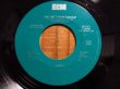 画像1: Pat Metheny Group / James (Promo Only EP) (1)
