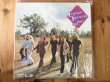 画像2: 高音質アナログ・プロダクションズ200g重量盤！ ■Lynyrd Skynyrd / Nuthin' Fancy (2)