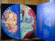 画像2: 【LP】Tempest / Tempest (2)