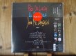画像2: 再入荷！世界初LP化！スーパーギタートリオのスタジオ初録音アルバム！■Paco De Lucia - Al Di Meola - John McLaughlin / The Guitar Trio (2)