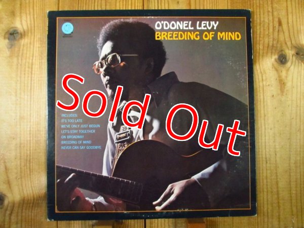 画像1: O'Donel Levy / Breeding Of Mind (1)