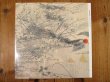 画像1: Raphael Malfliet / Noumenon (1)