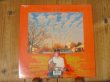 画像2: The Flaming Lips / Clouds Taste Metallic (2)