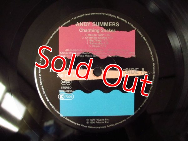 画像3: Andy Summers / Charming Snakes (3)