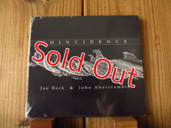 画像1: Joe Beck & John Abercrombie / Coincidence (1)