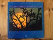 画像1: John Scofield & John Abercrombie / Solar (1)