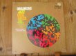 画像1: Eric Gale / Greg Hatza - Organized Jazz (1)