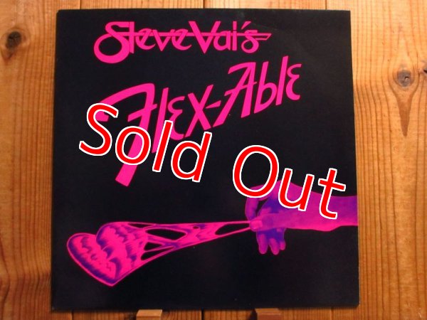 画像1: Steve Vai / Flex-Able (1)