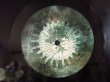 画像4: Animals As Leaders / Animals As Leaders (4)