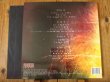 画像3: Animals As Leaders / Animals As Leaders (3)